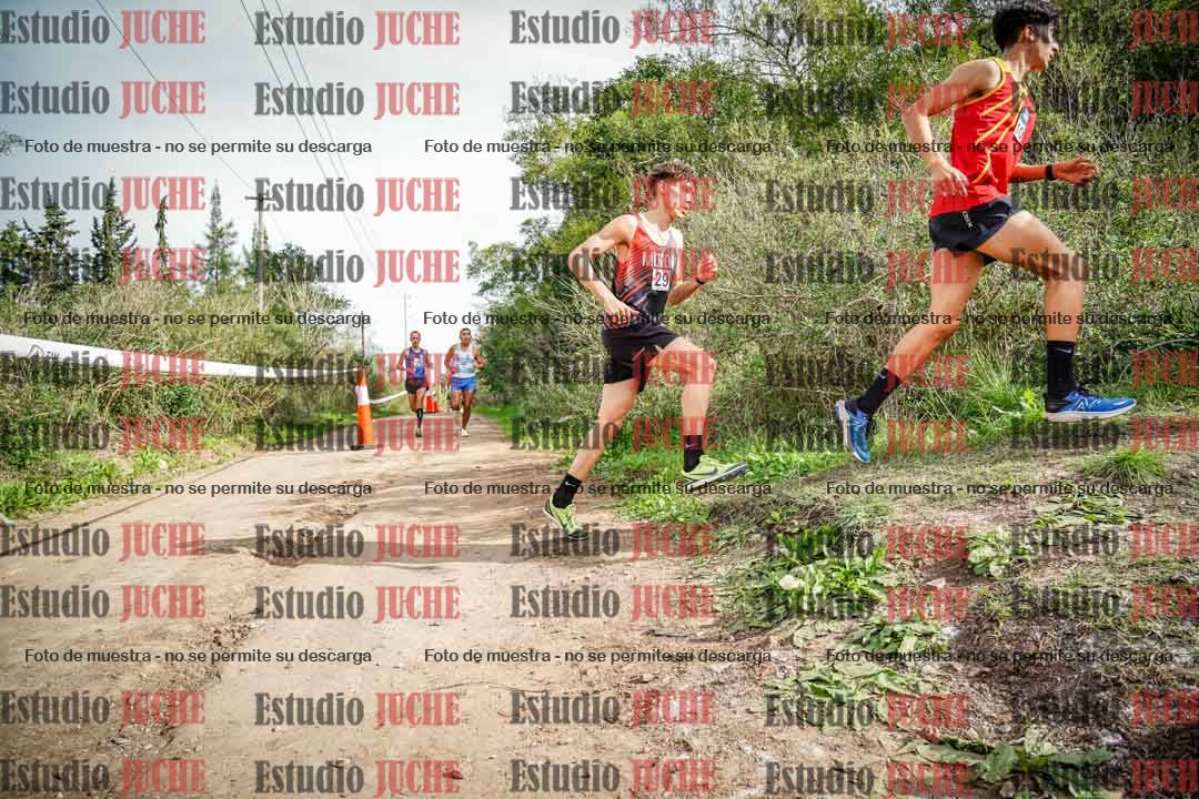 Fotos en el circuito