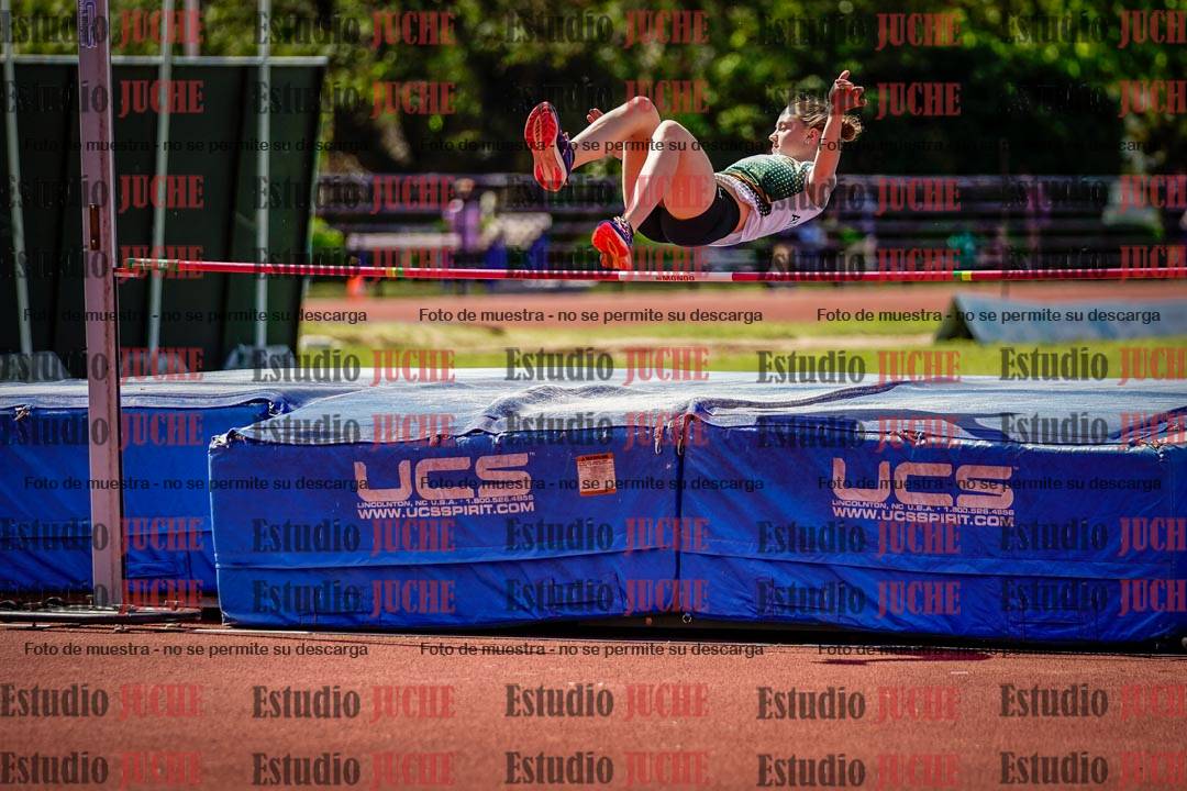 Fotos del salto en alto