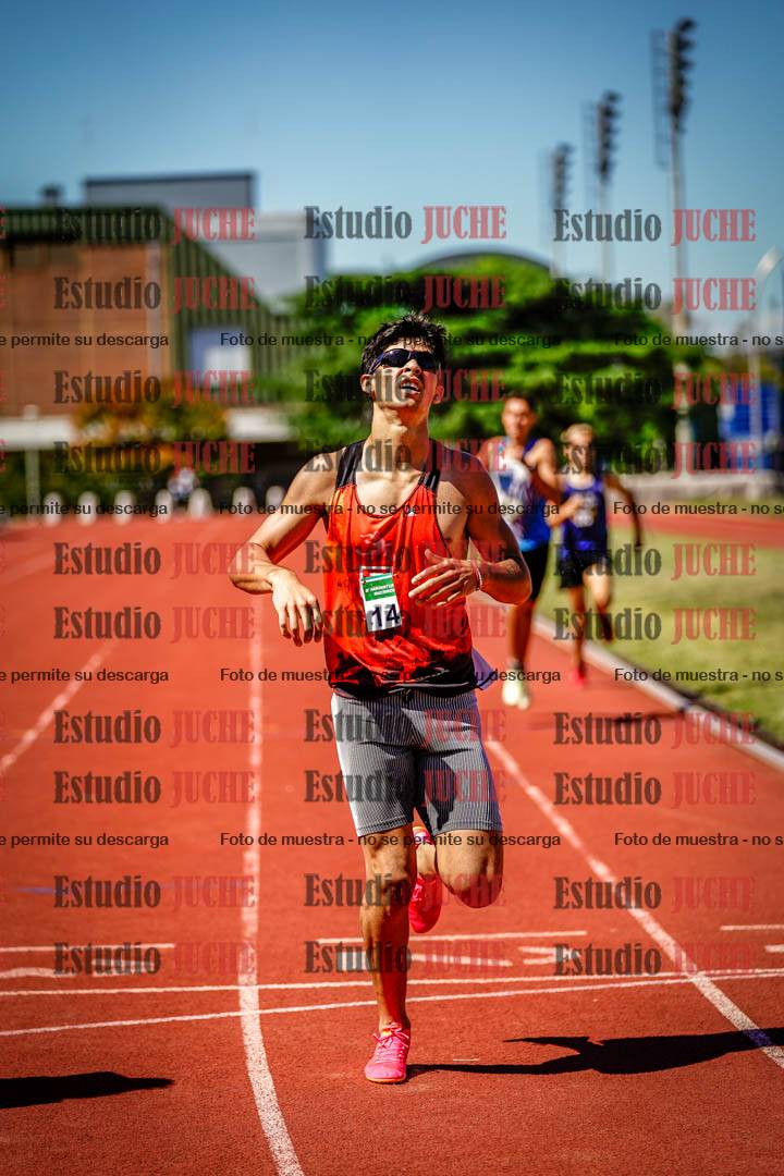 Fotos de los 800 m llanos de varones