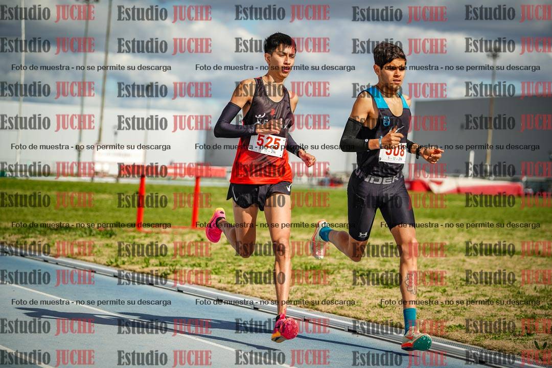 Fotos de los 5000 m llanos de varones