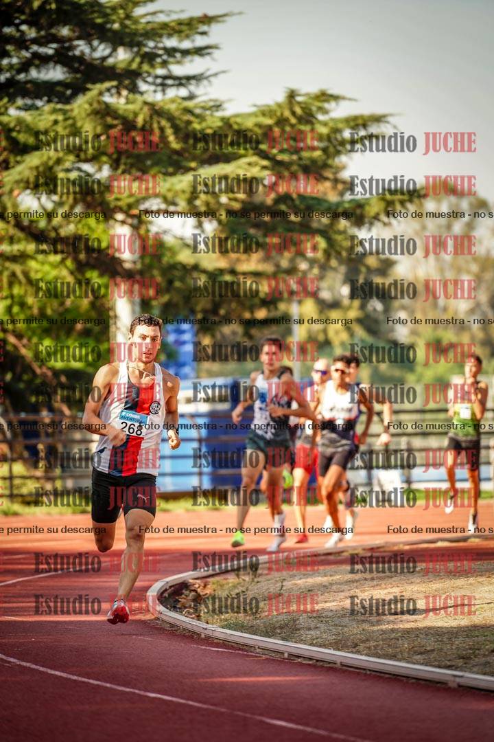 Fotos de los 800 m llanos de varones