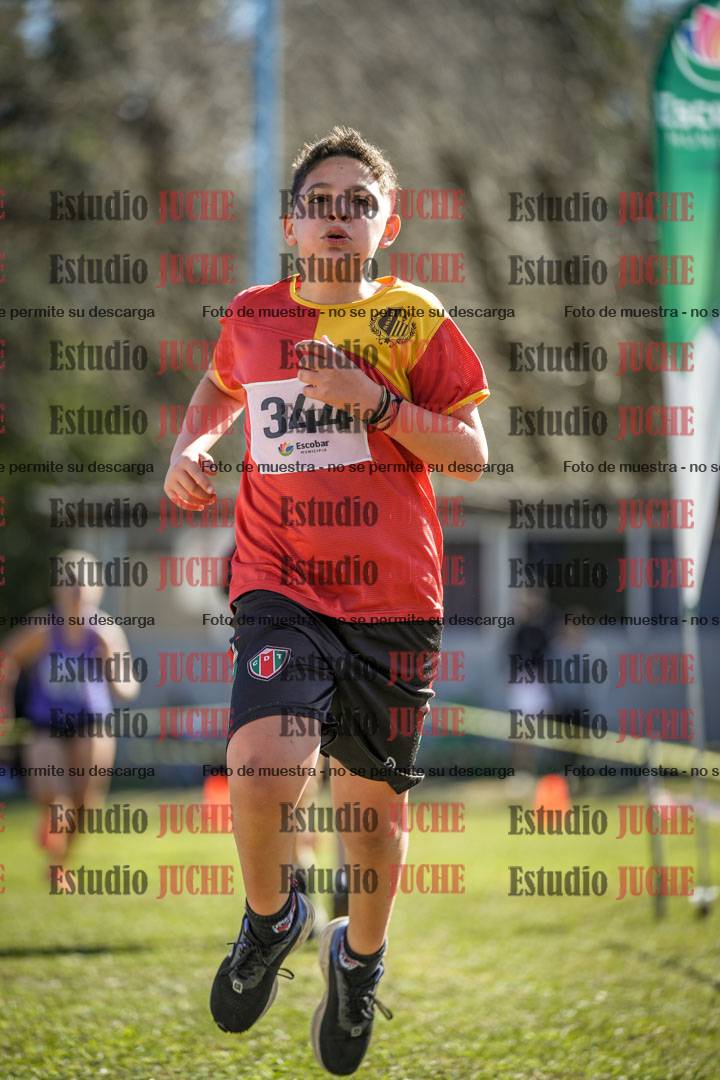 Fotos de la llegada del cross de 1500 m