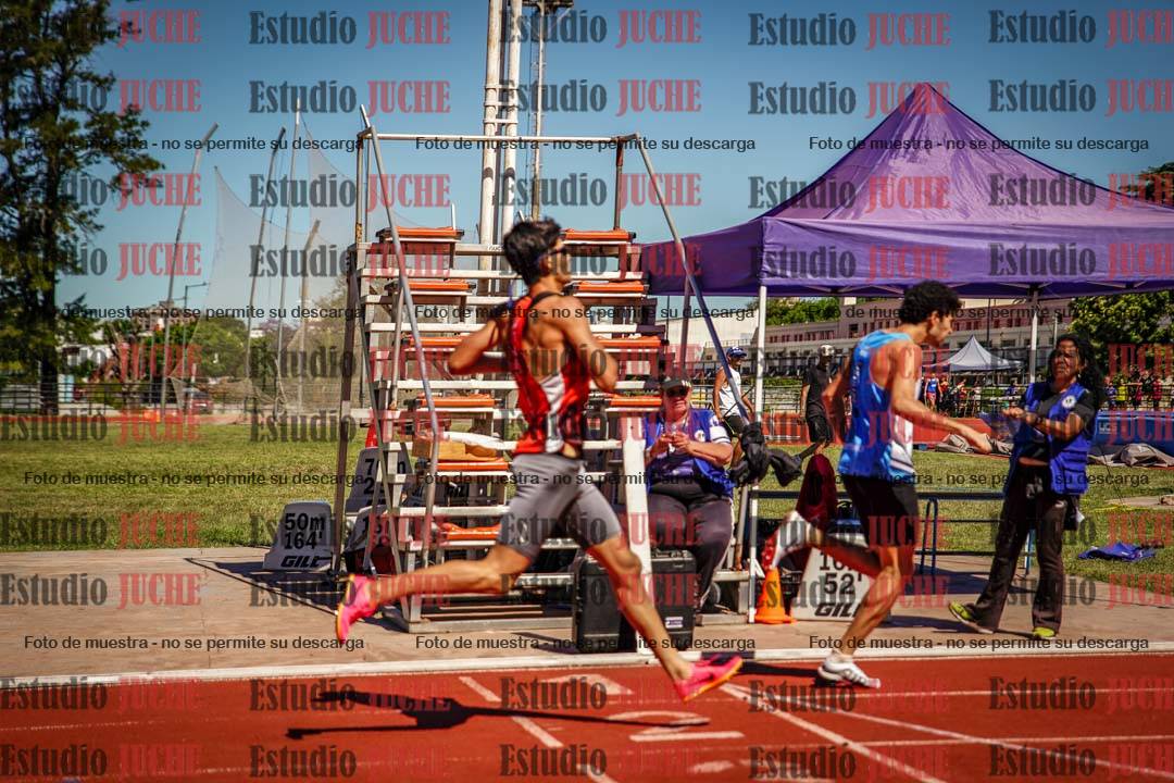 Fotos de los 800 m llanos de varones
