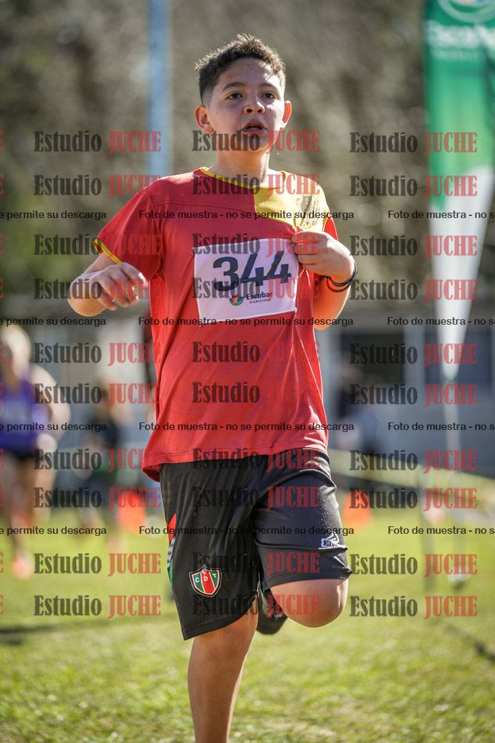 Fotos de la llegada del cross de 1500 m