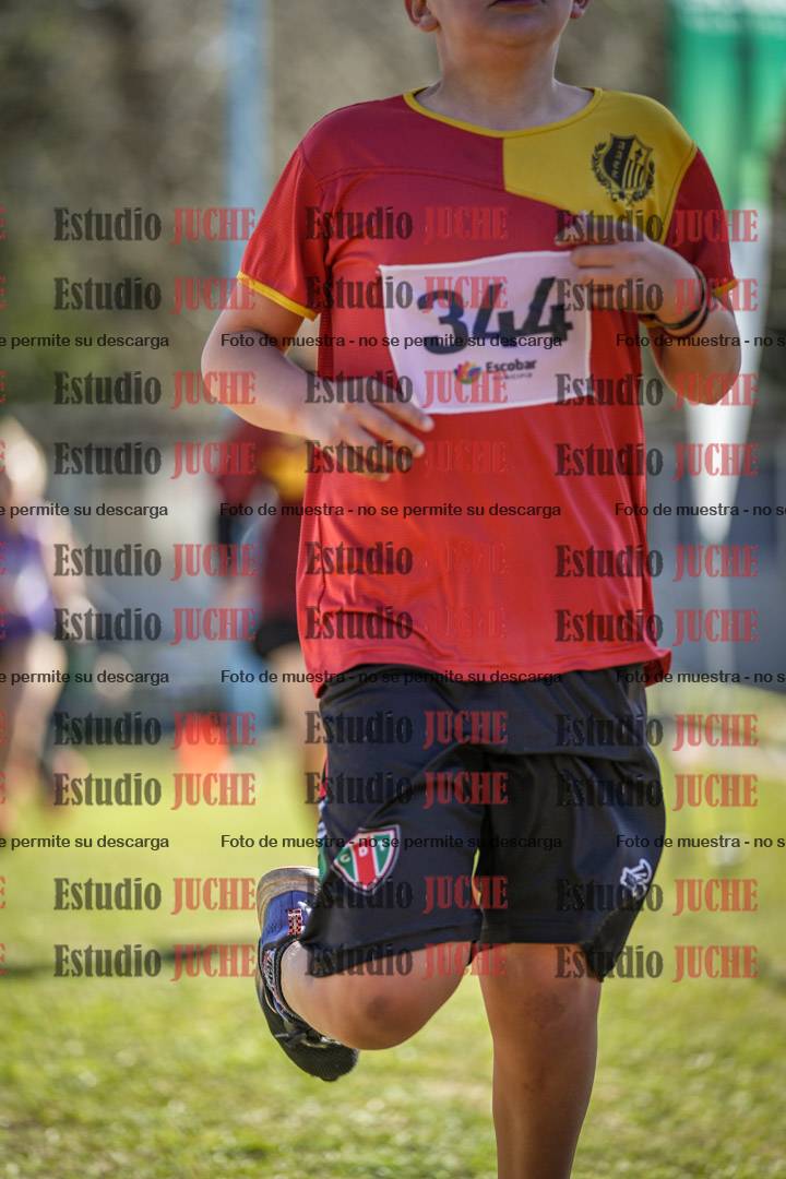 Fotos de la llegada del cross de 1500 m