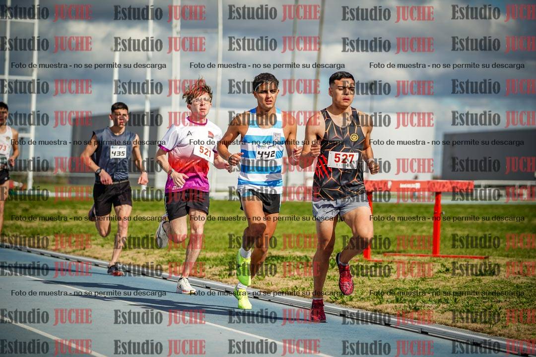 Fotos de los 5000 m llanos de varones