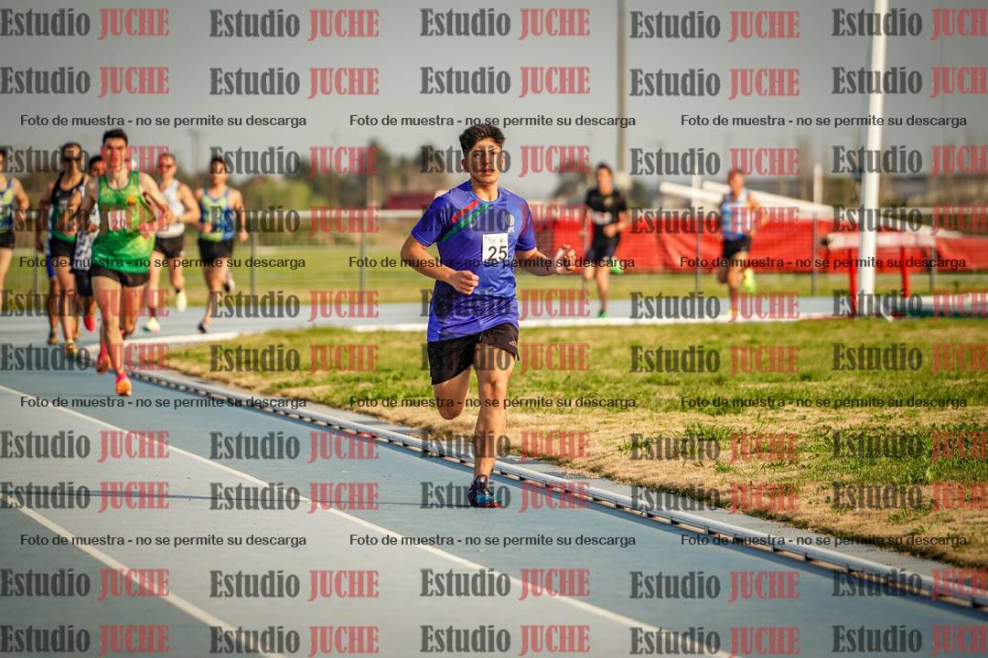 Fotos de los 3000 m llanos de varones