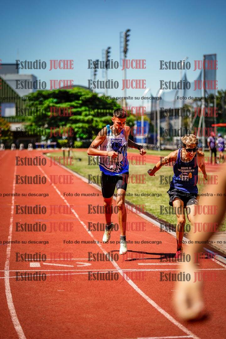 Fotos de los 800 m llanos de varones