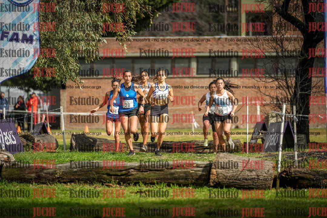 Fotos en el circuito