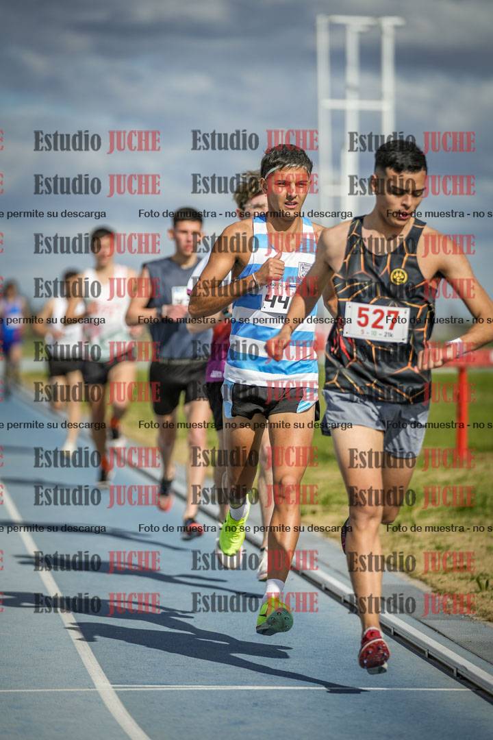 Fotos de los 5000 m llanos de varones