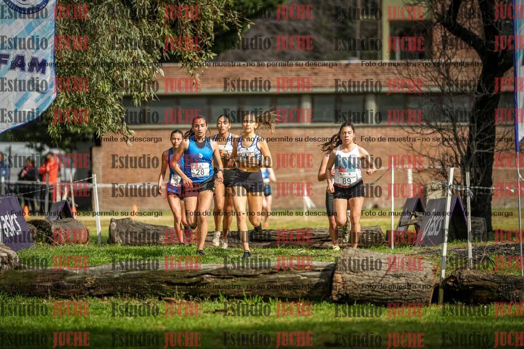 Fotos en el circuito
