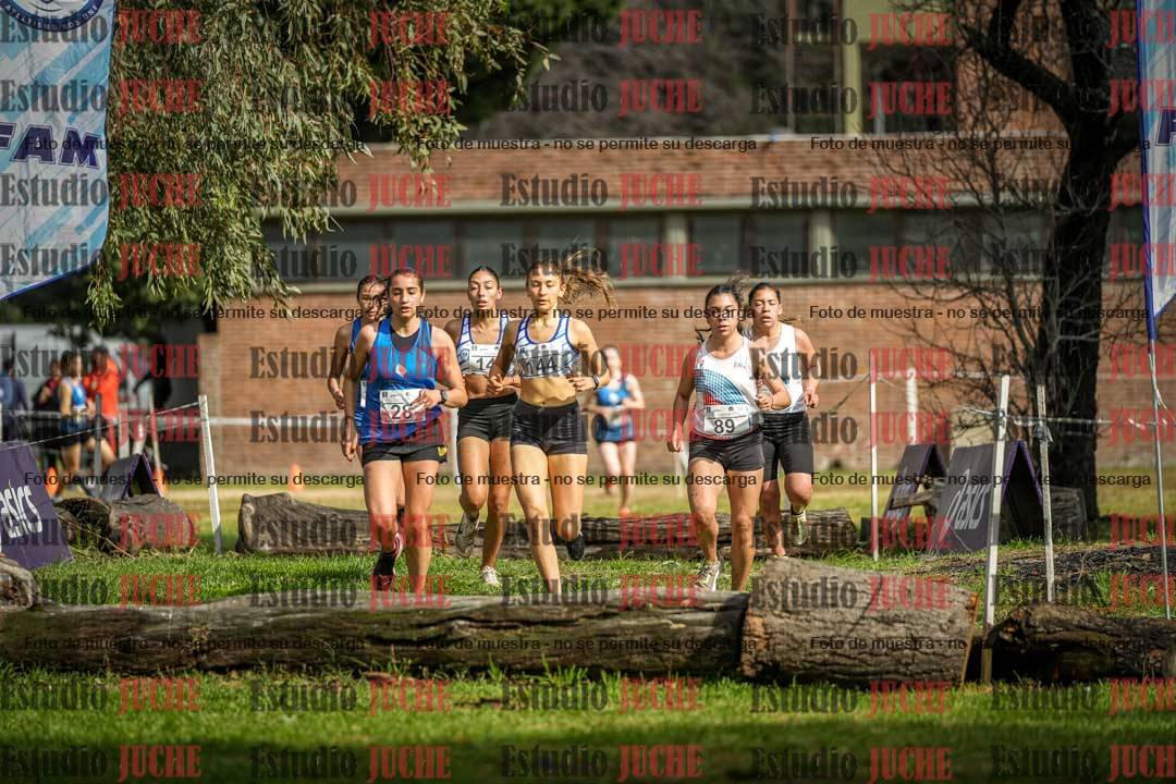 Fotos en el circuito