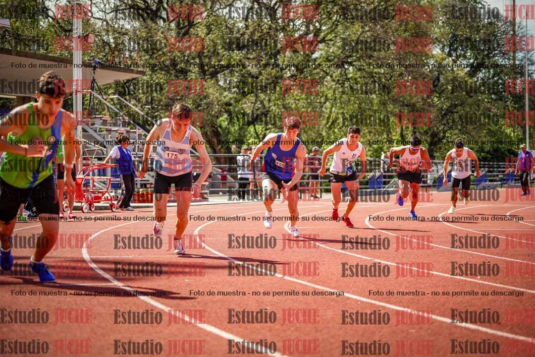 Fotos de los 800 m llanos de varones