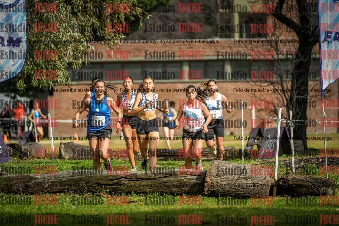 Fotos en el circuito