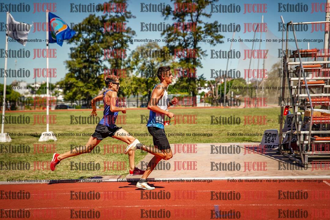 Fotos de los 800 m llanos de varones