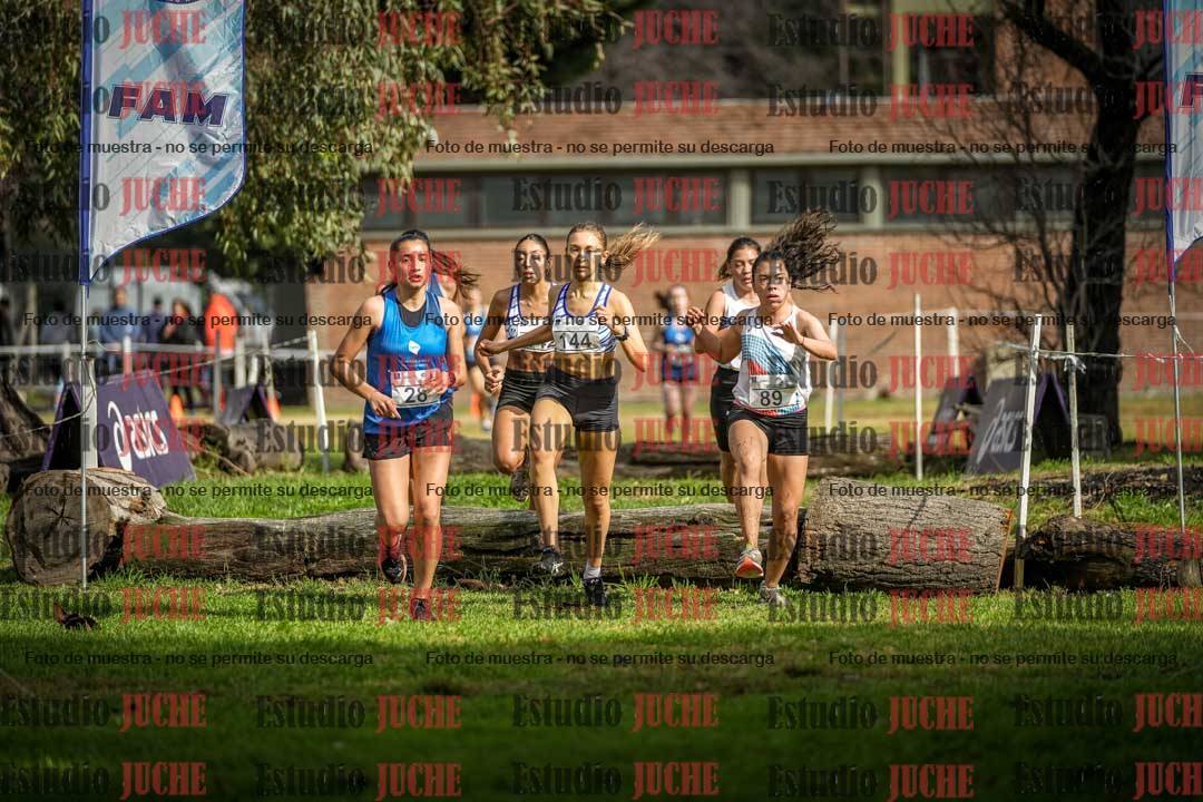 Fotos en el circuito