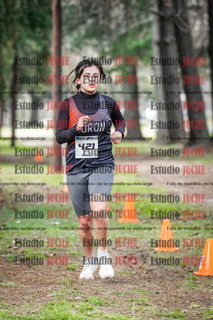 Fotos en el circuito
