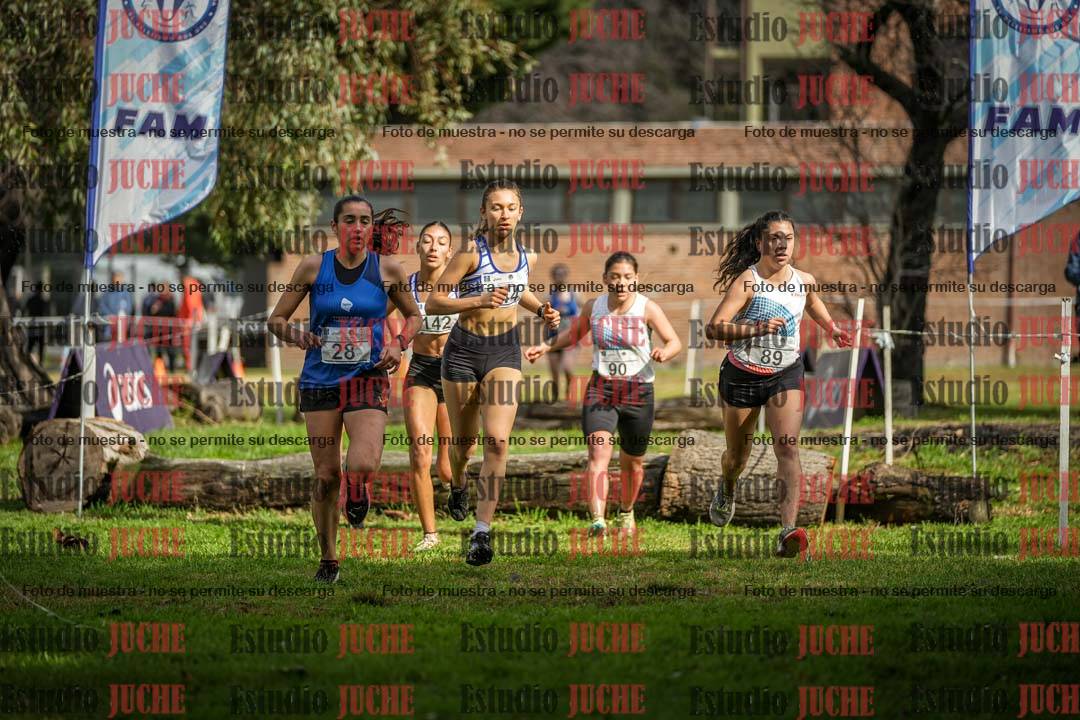 Fotos en el circuito