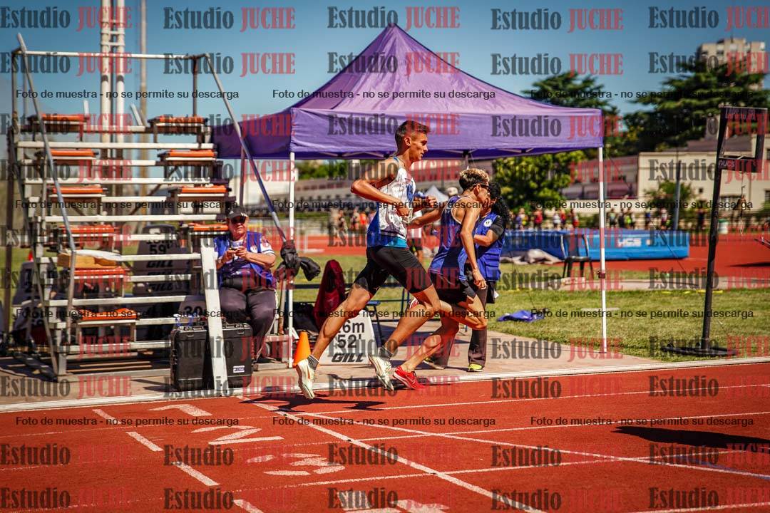 Fotos de los 800 m llanos de varones