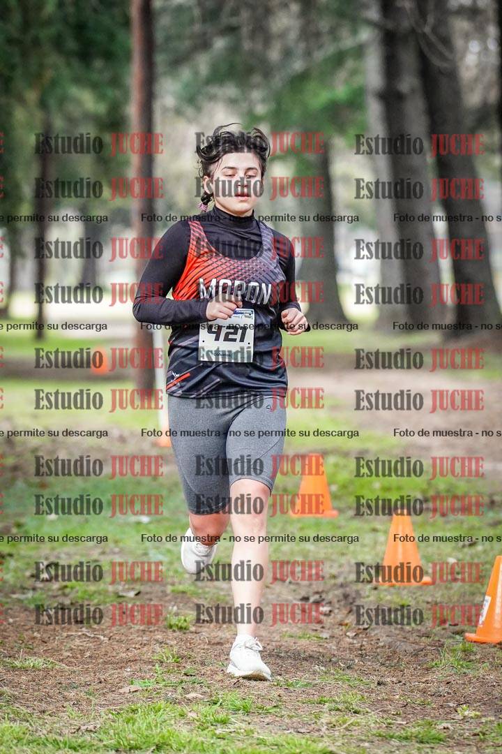Fotos en el circuito