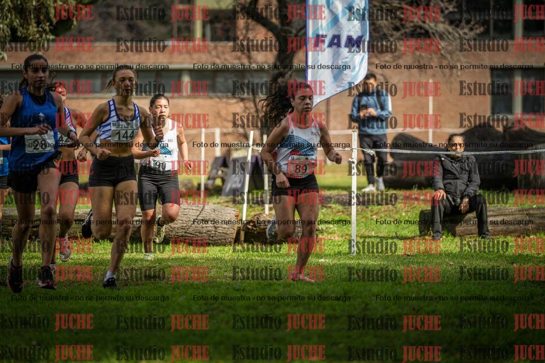 Fotos en el circuito