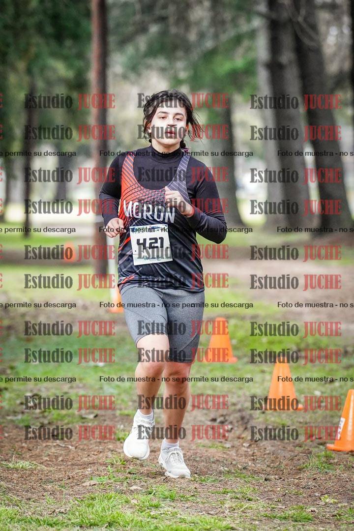 Fotos en el circuito