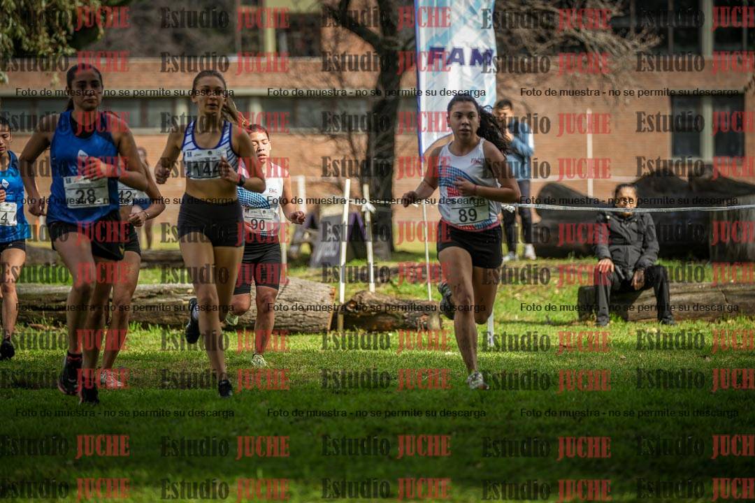 Fotos en el circuito