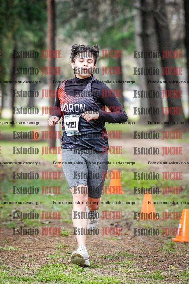 Fotos en el circuito