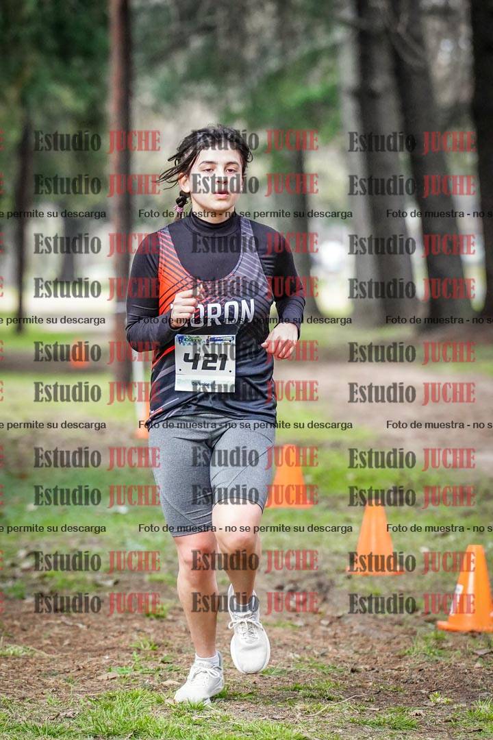 Fotos en el circuito
