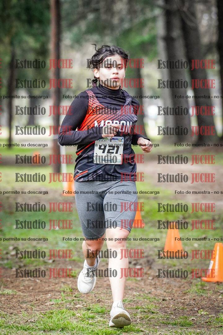 Fotos en el circuito