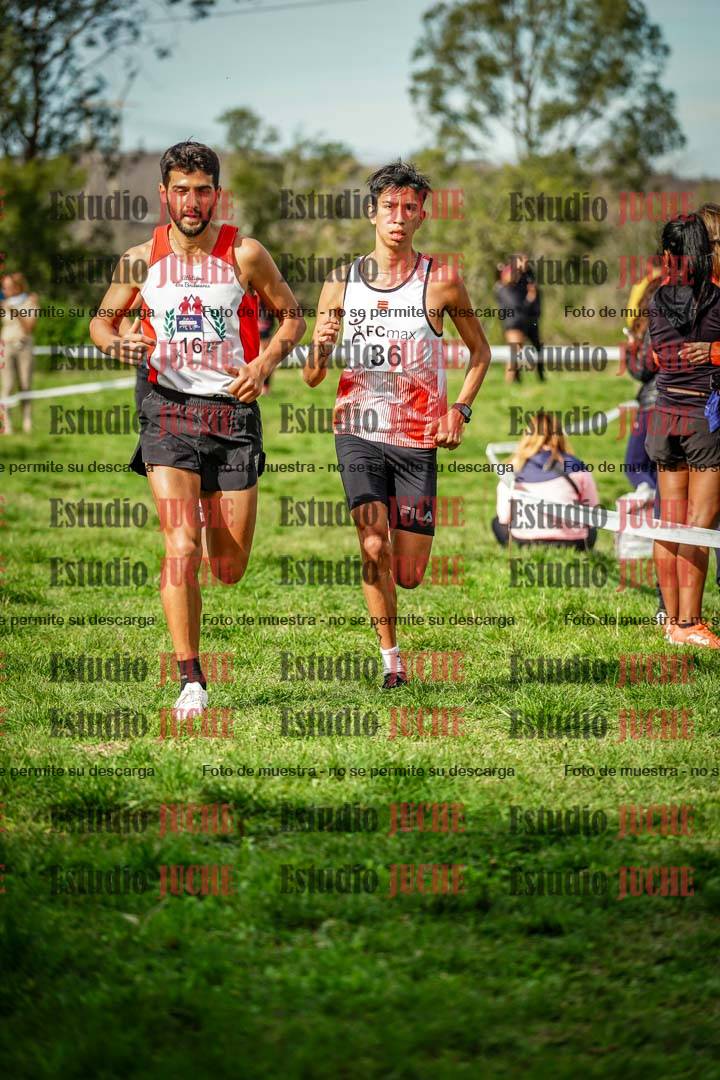 Fotos en el circuito