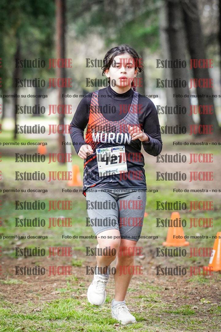 Fotos en el circuito