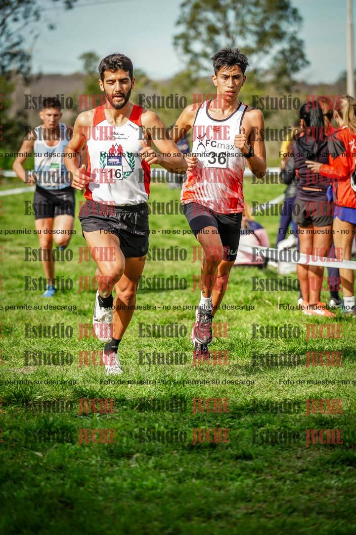 Fotos en el circuito