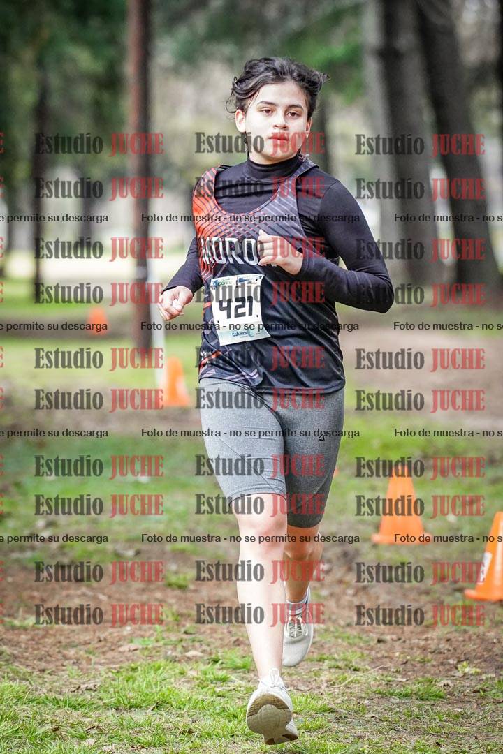 Fotos en el circuito