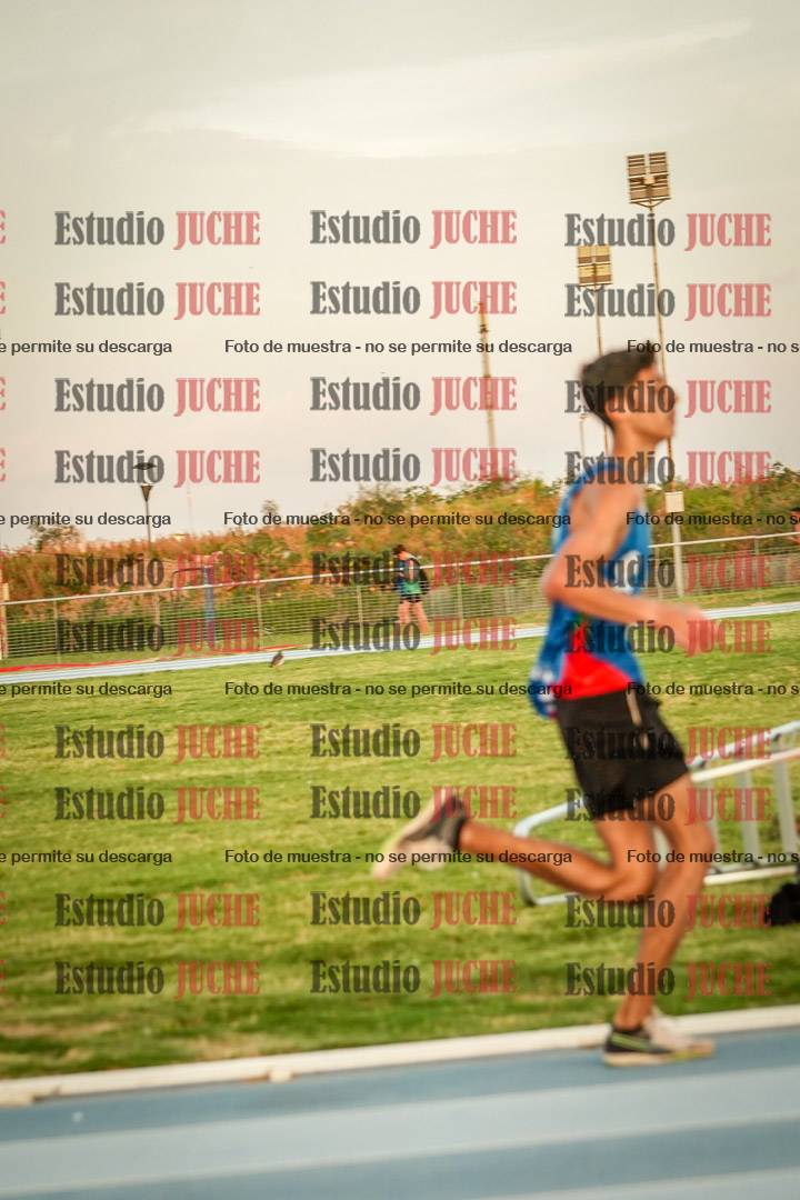 Fotos de los 3000 m llanos de varones