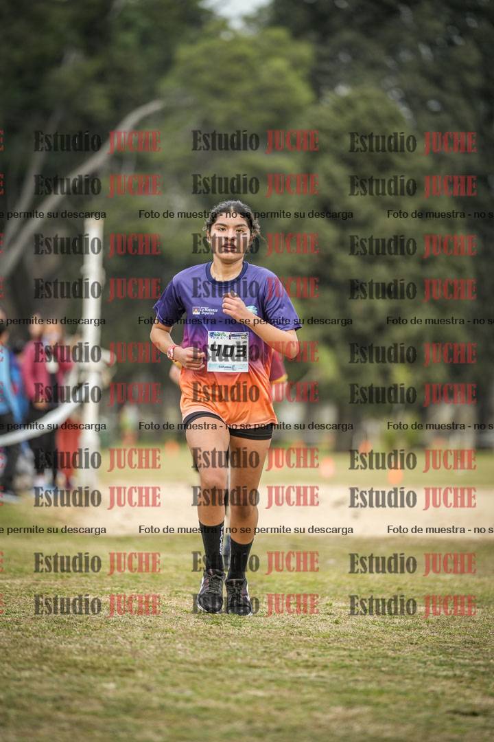 Fotos de la llegada