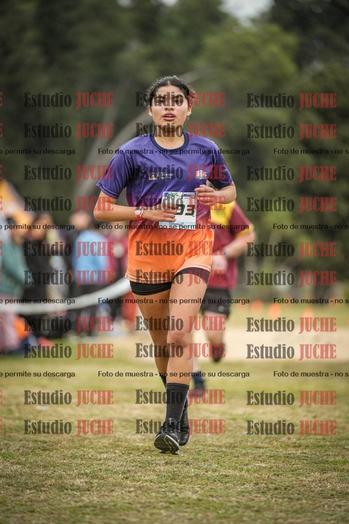 Fotos de la llegada