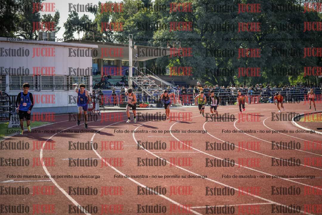 Fotos de los 800 m llanos de varones