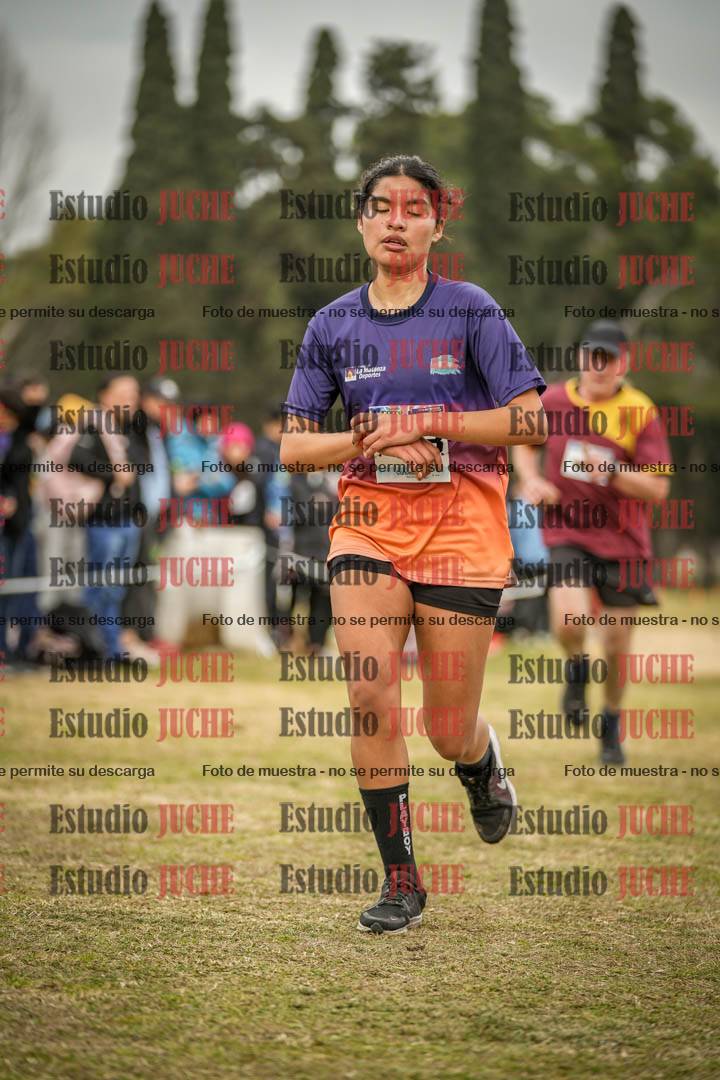 Fotos de la llegada