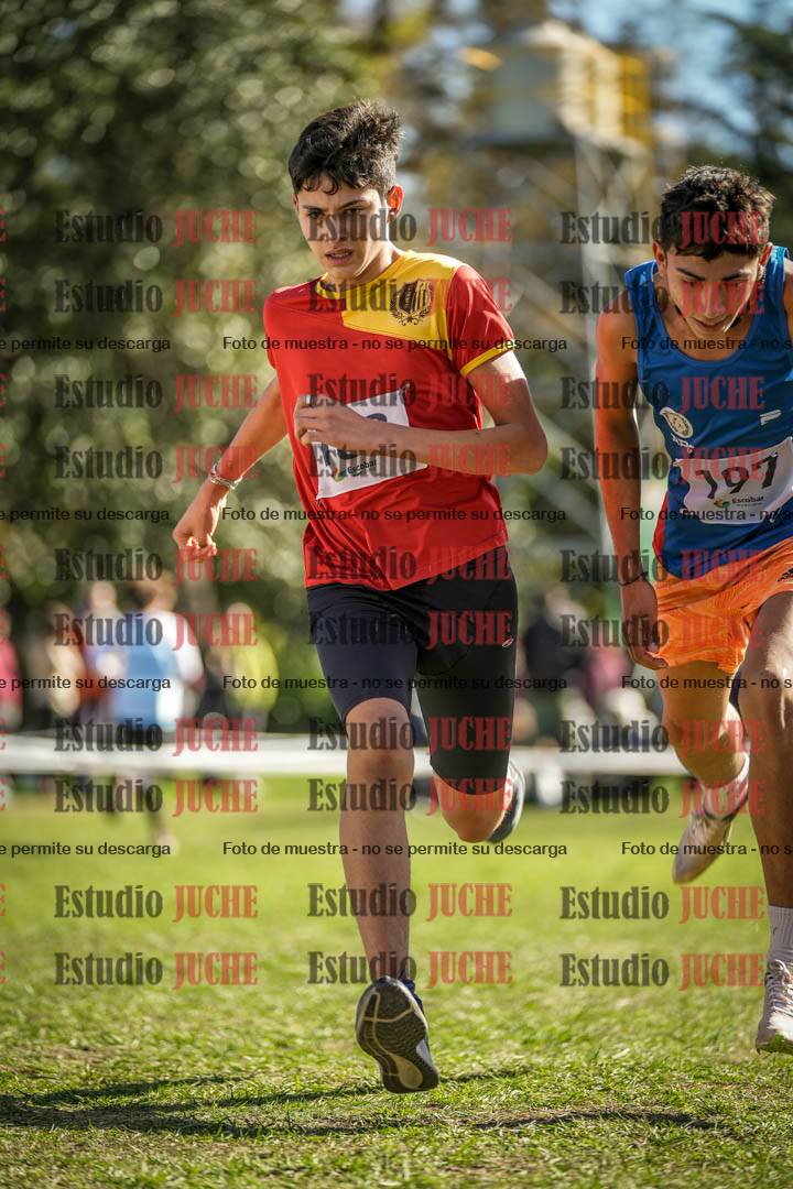 Fotos de la llegada del cross de 2000 m