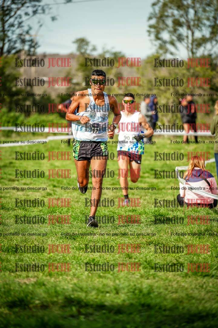Fotos en el circuito