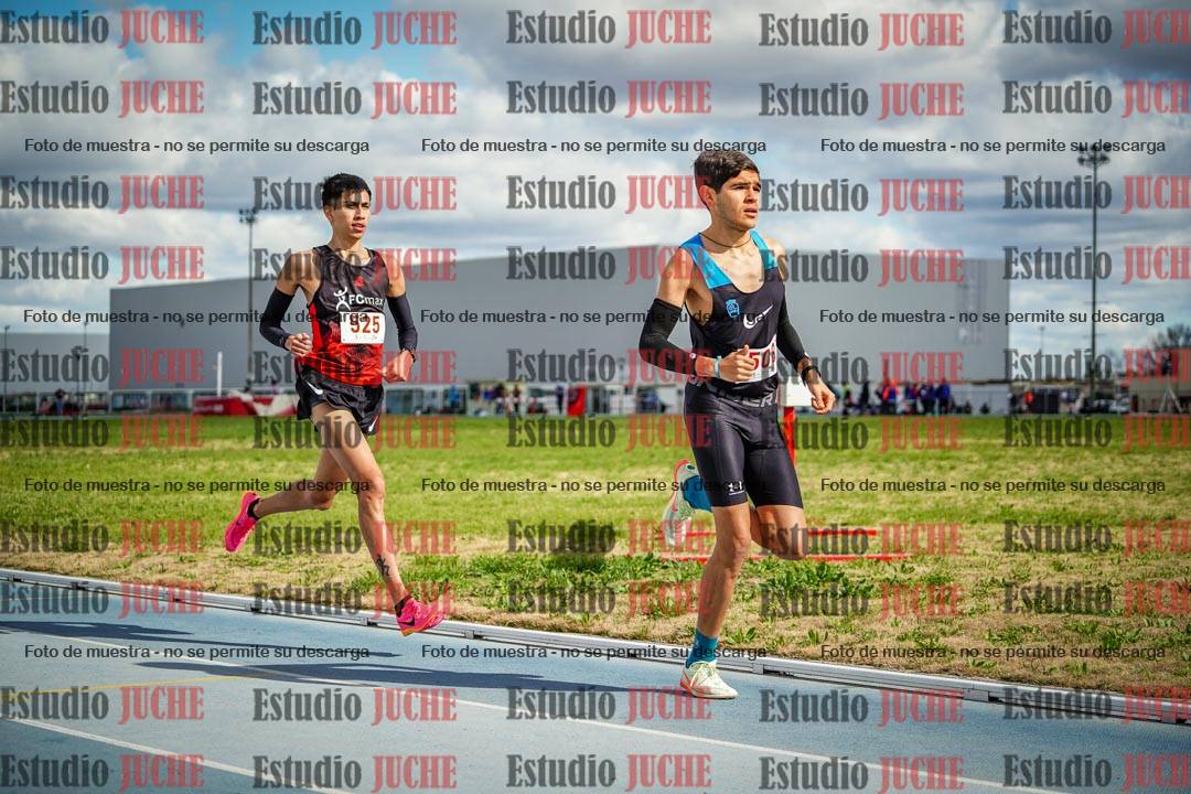 Fotos de los 5000 m llanos de varones