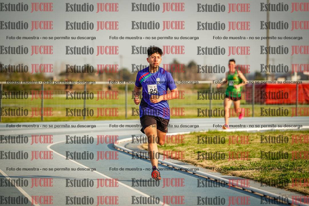Fotos de los 3000 m llanos de varones