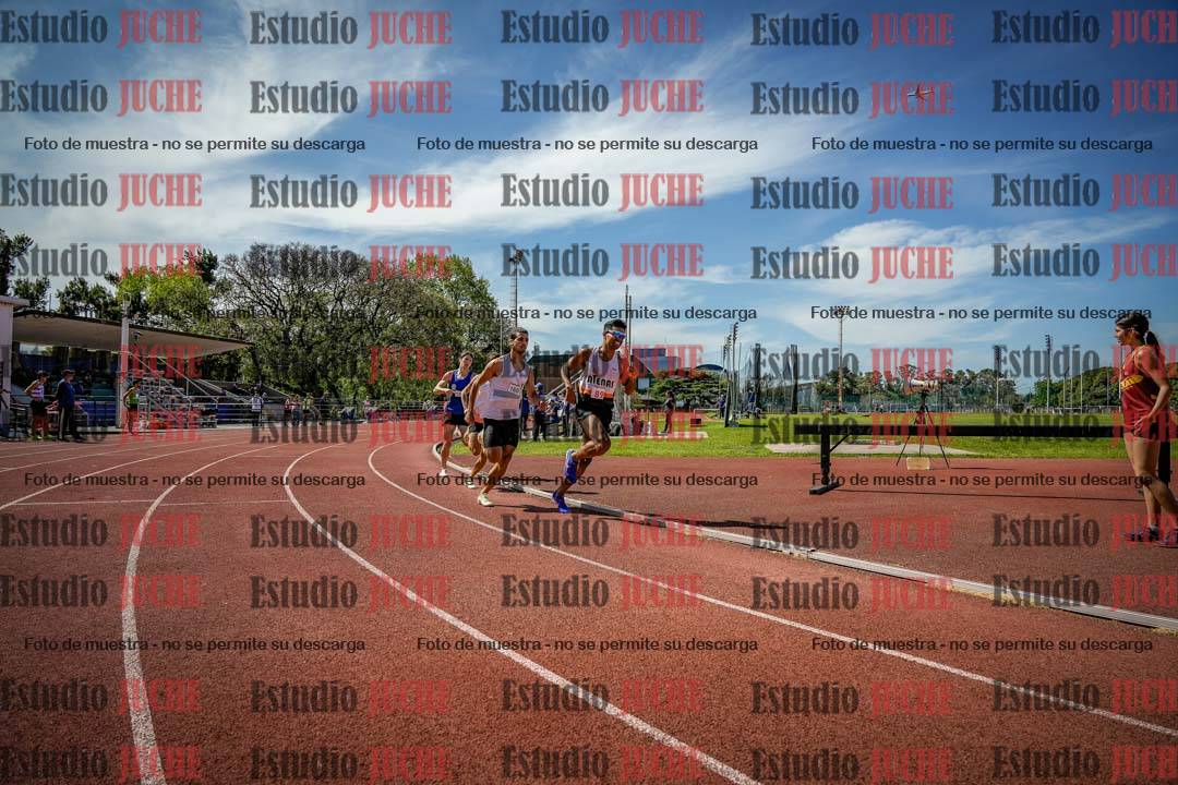 Fotos de los 800 m llanos de varones