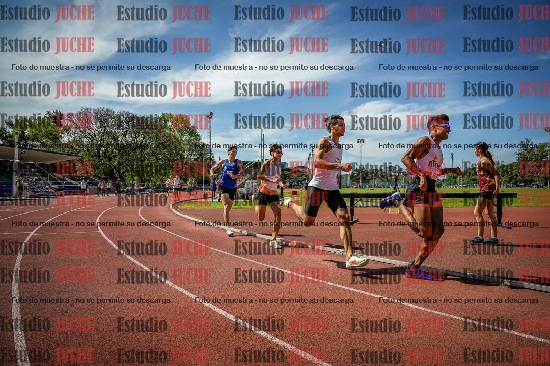 Fotos de los 800 m llanos de varones