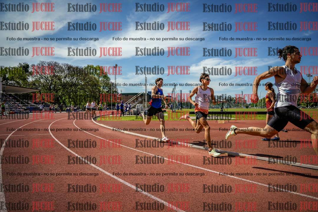 Fotos de los 800 m llanos de varones