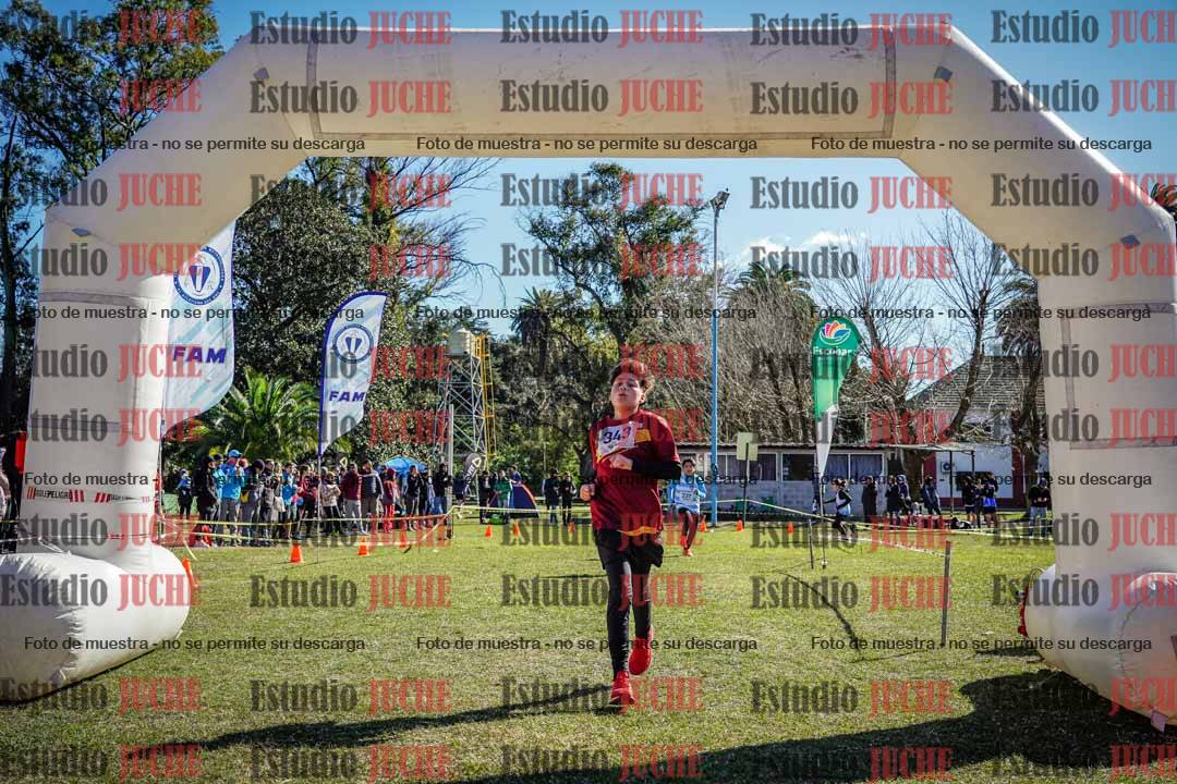 Fotos de la llegada del cross de 1500 m