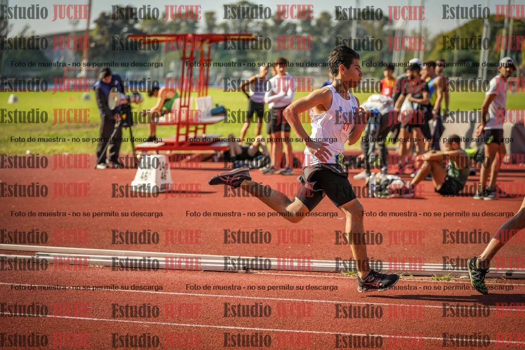 Fotos de los 800 m llanos de varones