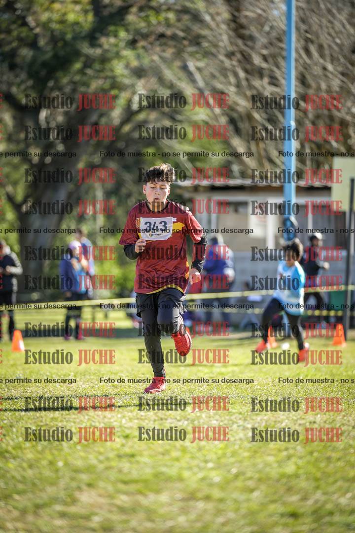 Fotos de la llegada del cross de 1500 m