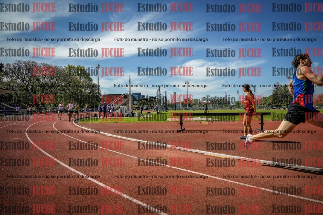 Fotos de los 800 m llanos de varones